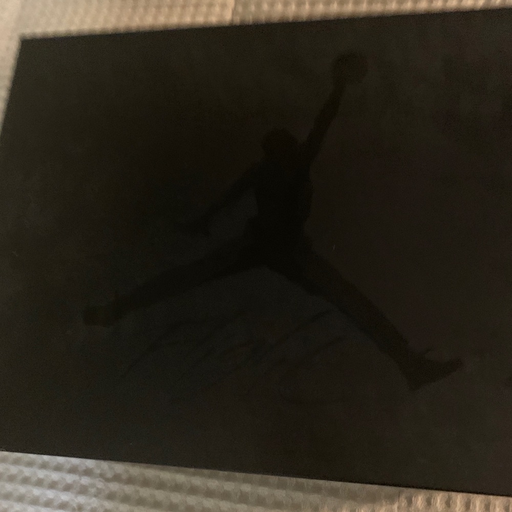 Air Jordan Black Cat 4s